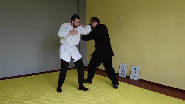 Video cutting of lessons from the Fudoshin aikido dojo training