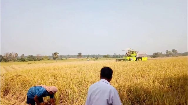 Crop cutting machine | Team Zoomlion