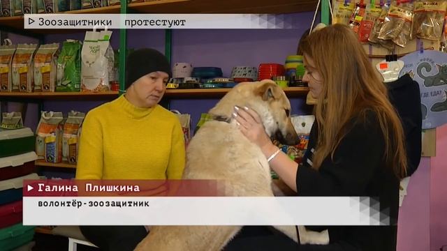 Время местное Эфир: 19-01-2021 - Зоозащитники протестуют