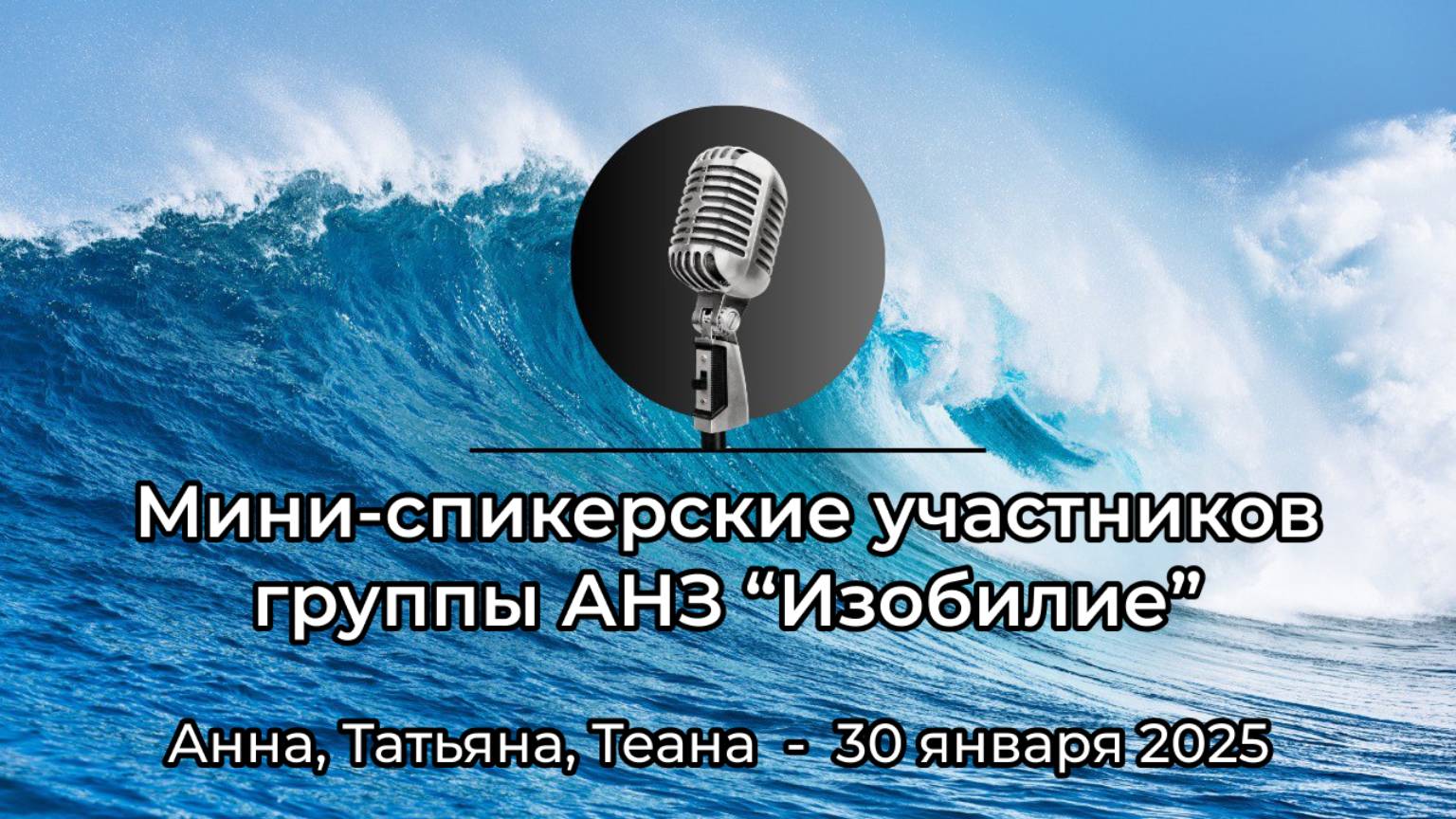 Мини-спикерские участников группы АНЗ "Изобилие", 30 января 2025 года