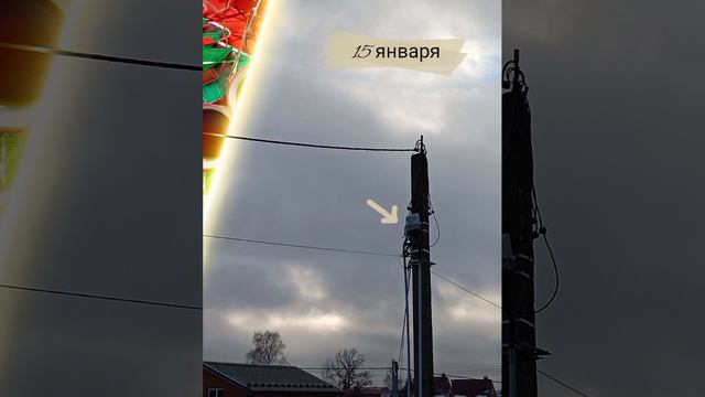 январь_2025.mp4