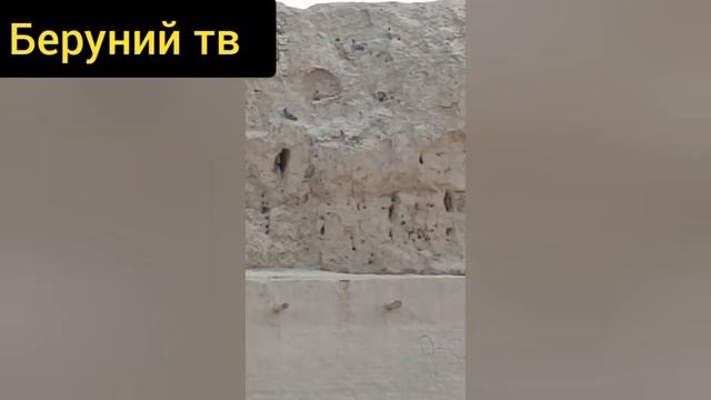Фил кала БЕРУНИЙ 2.05.2023