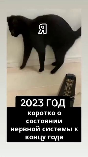 не бесите уважаемые диванные эксперты и так нервы не к черту
