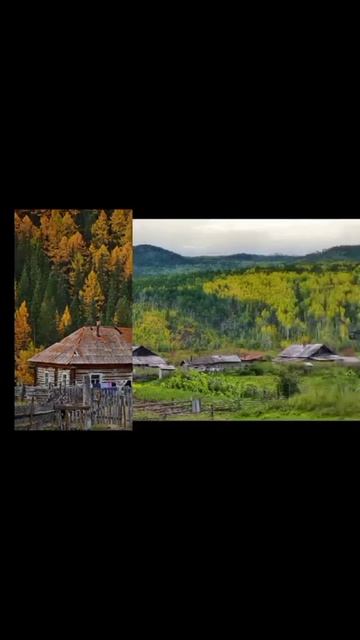 на природу🌼🌲