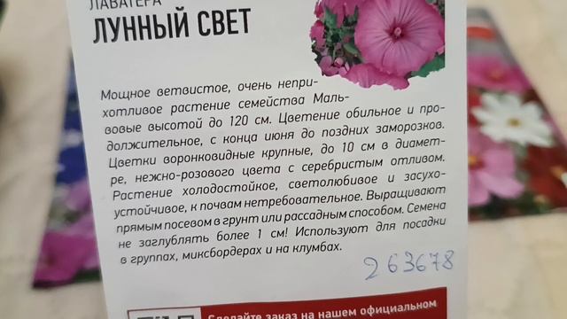 Обзор семян цветов и не только к сезону 25 года