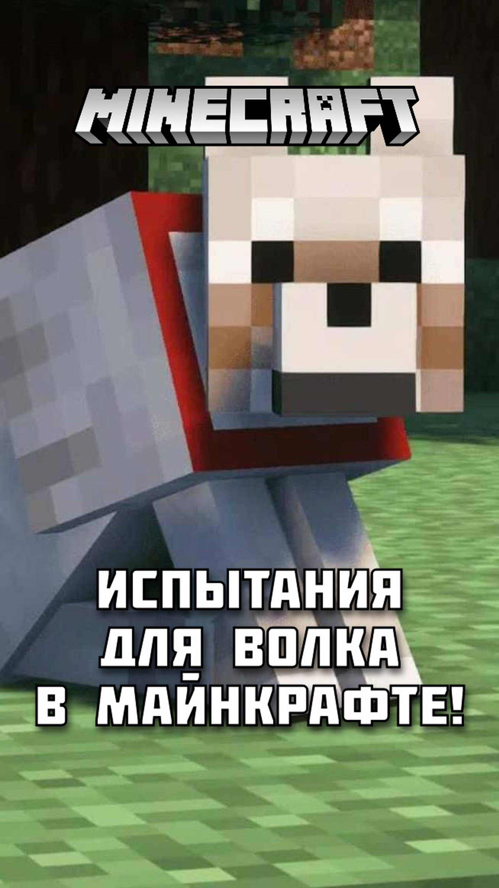 Сможет ли ВОЛК пройти все испытания в Майнкрафте? Смотри полное видео на канале!