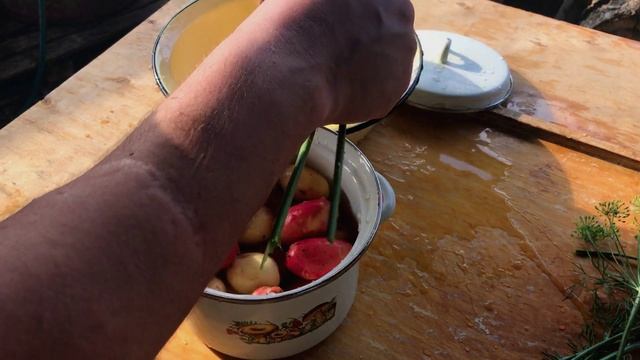 как сварить молодую картошку