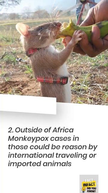 5 FACTS ABOUT VIRAL MONKEYPOX VIRUS #MONKEYPOX #MONKEY