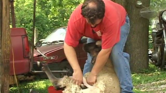 Bill Harshbarger: Sheep Shearer Sharpener (State Fair Masters 2006)