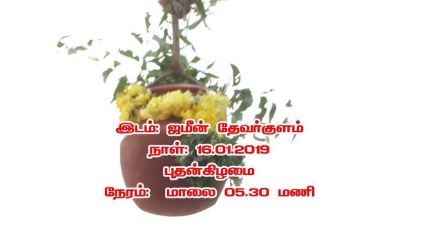 ZDK PONGAL CELEBRATION - 2019 PART 1