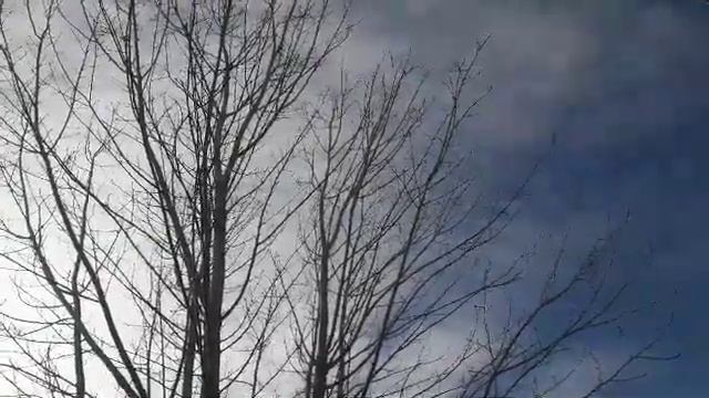 Трамп-всё хорошо