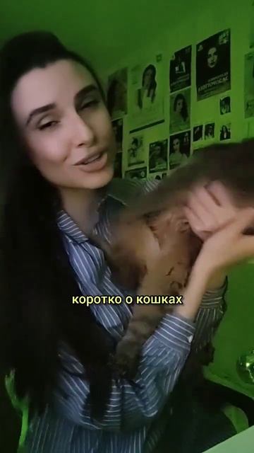 Ну один в один 🥲😹🤣 #котики #смешныекоты #кошки #catvideos #catshorts #кошечки