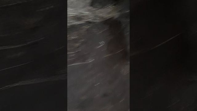 31-01-2025 зима а весне