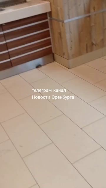 На Салмышской в «Бургер Кинге» мышка ждет свой заказ