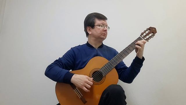 Мауро Джулиани "Этюд" C dur Mauro Giuliani "Etude" C dur