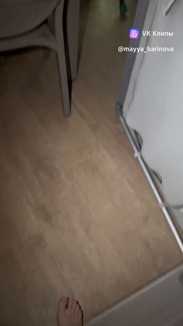 Я и насекомые