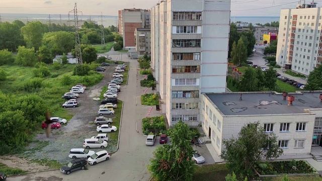 Птицы в городе. Футаж