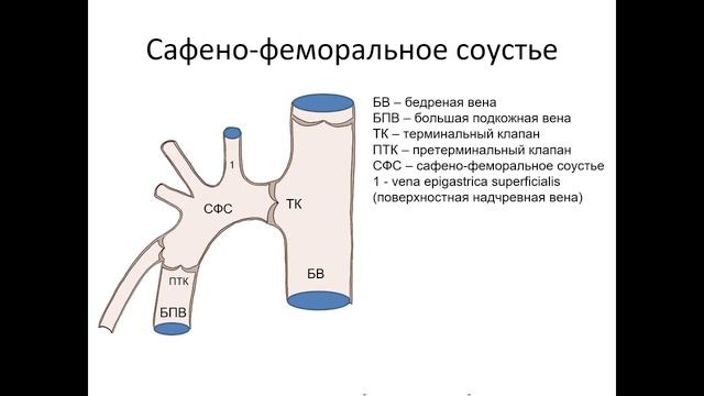 БПВ и её притоки 31-01-2025