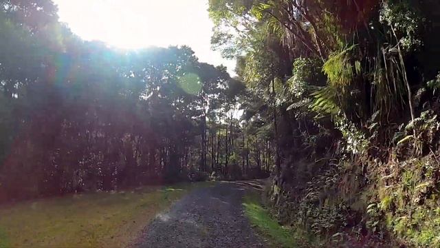 Huia Dam track and Whatipu beach