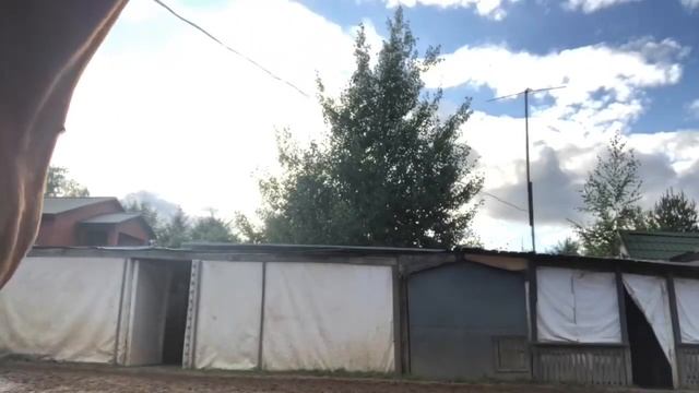 Конный спорт/ роня