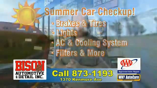 Bison Automotive Summer Auto Car and AC Tip