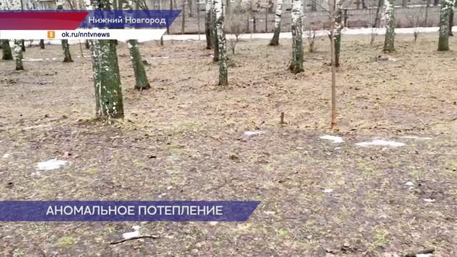 Впервые за 26 лет температура воздуха оказалась на 10 градусов выше нормы в Нижнем Новгороде