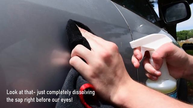 Car Detailing - Remove Pine Tree Sap Fast on Cars!