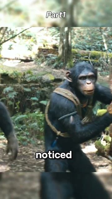 Apes Searching for Eagle Eggs Suddenly Attacked.#futurelink #moviereview