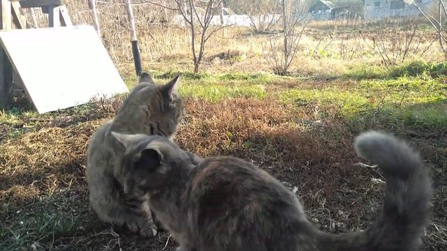 Друг, который портит съемку
