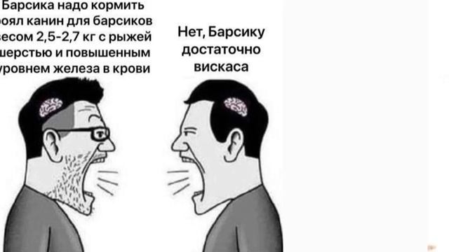 Владельцы кошек би лайк