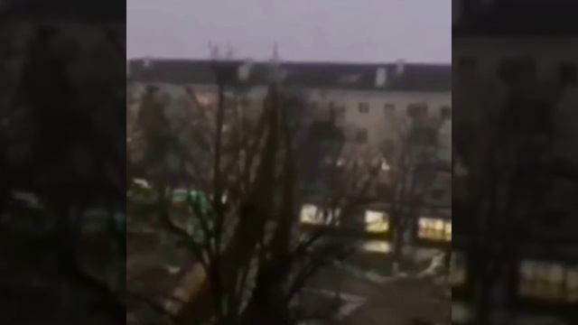 Сильный ветер в Беларуси посносил людей и новогодние елки, 14 января 2022.
