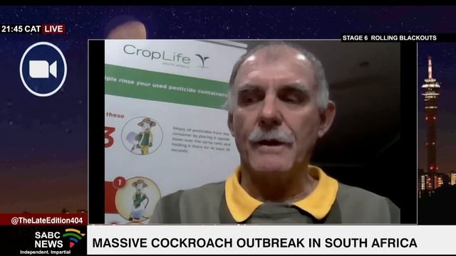 Massive cockroach outbreak in South Africa