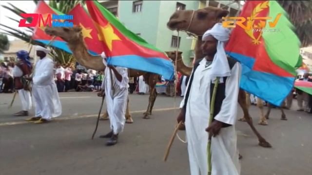 News in Tigre for August 6, 2024 - ERi-TV, Eritrea