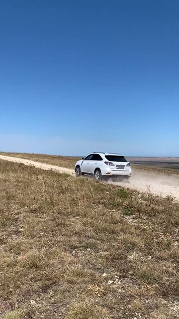 Lexus RX350
