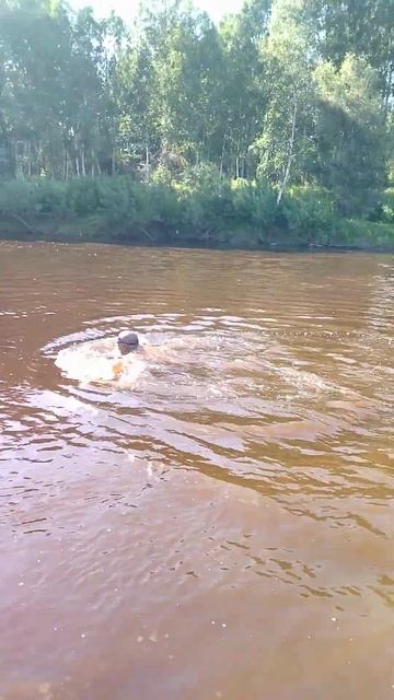 Окунево. Хорошо плавать в реке Тара.