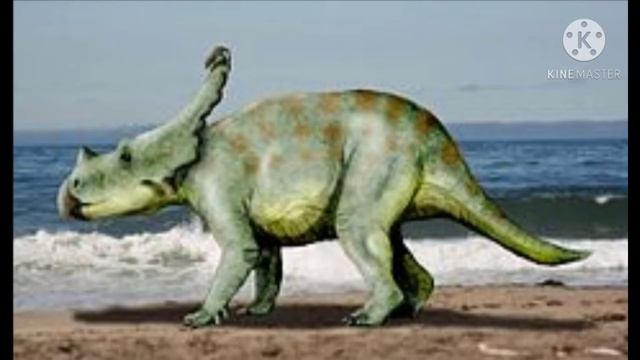 Conoce al vagaceratops