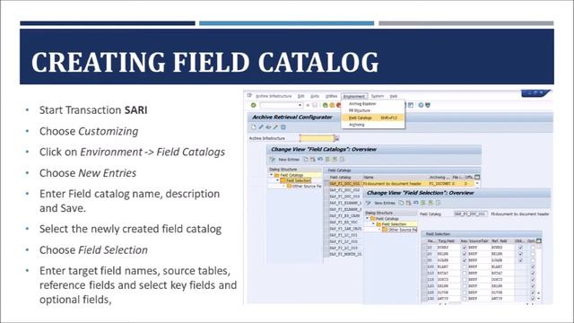 SAP DATA ARCHIVING  - PART 8 - DISPLAYING ARCHIVED DATA  - FIELD CATALOG AND INFO STRUCTURES