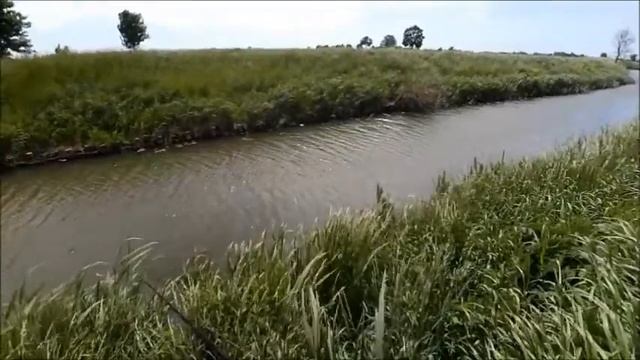 7 szczupaków / pikes / Mikado Fishunter / casting