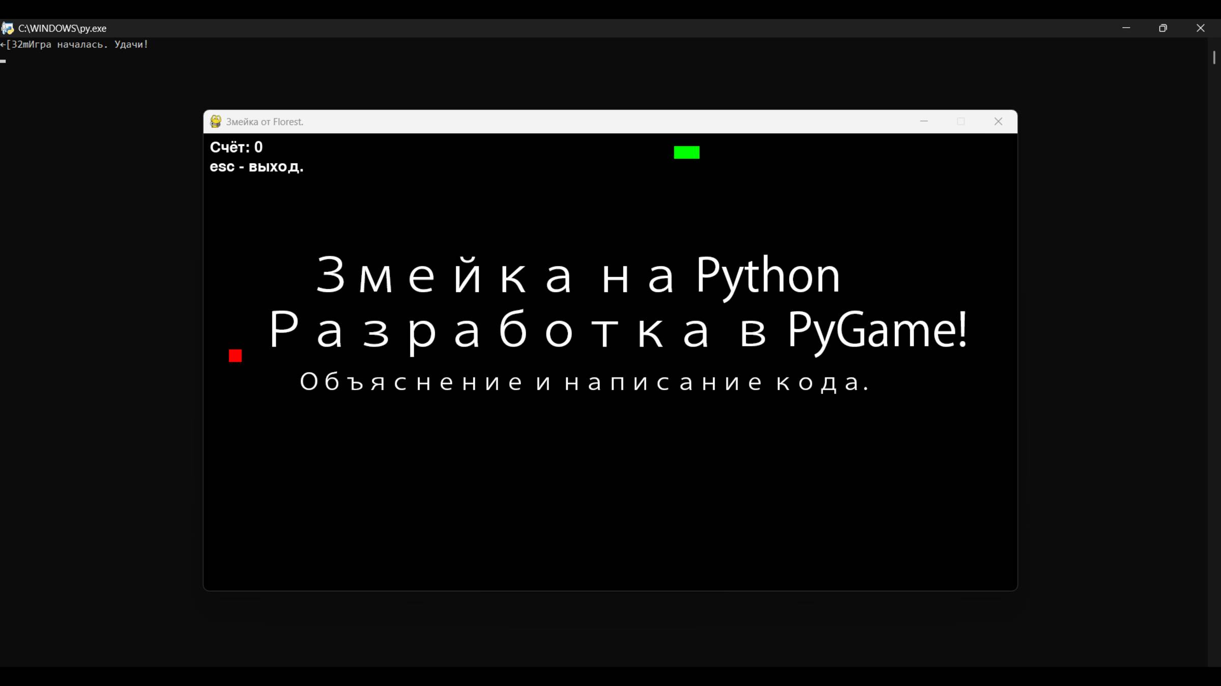 Змейка на Python | PyGame | @florestchannel