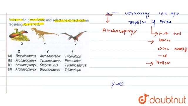 Refer to the given figure and select the correct option regarding X,Y and Z.