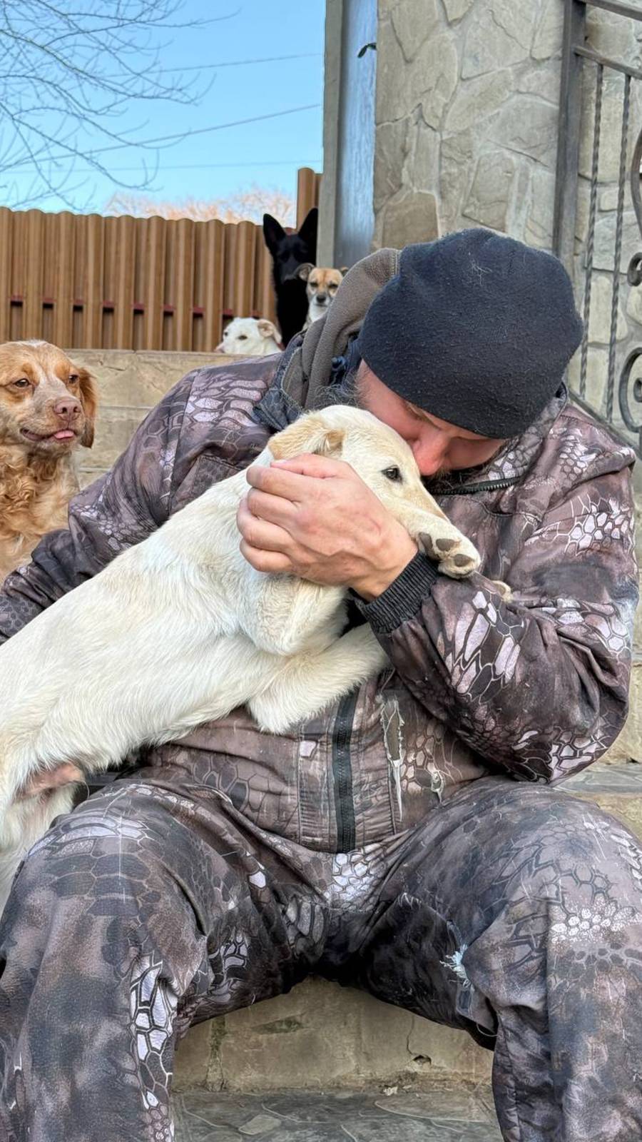 Не покупай, приюти🙏 АЛЕКС❤