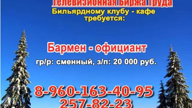 9 февраля_14.50_Работа в Нижнем Новгороде_Телевизионная Биржа Труда