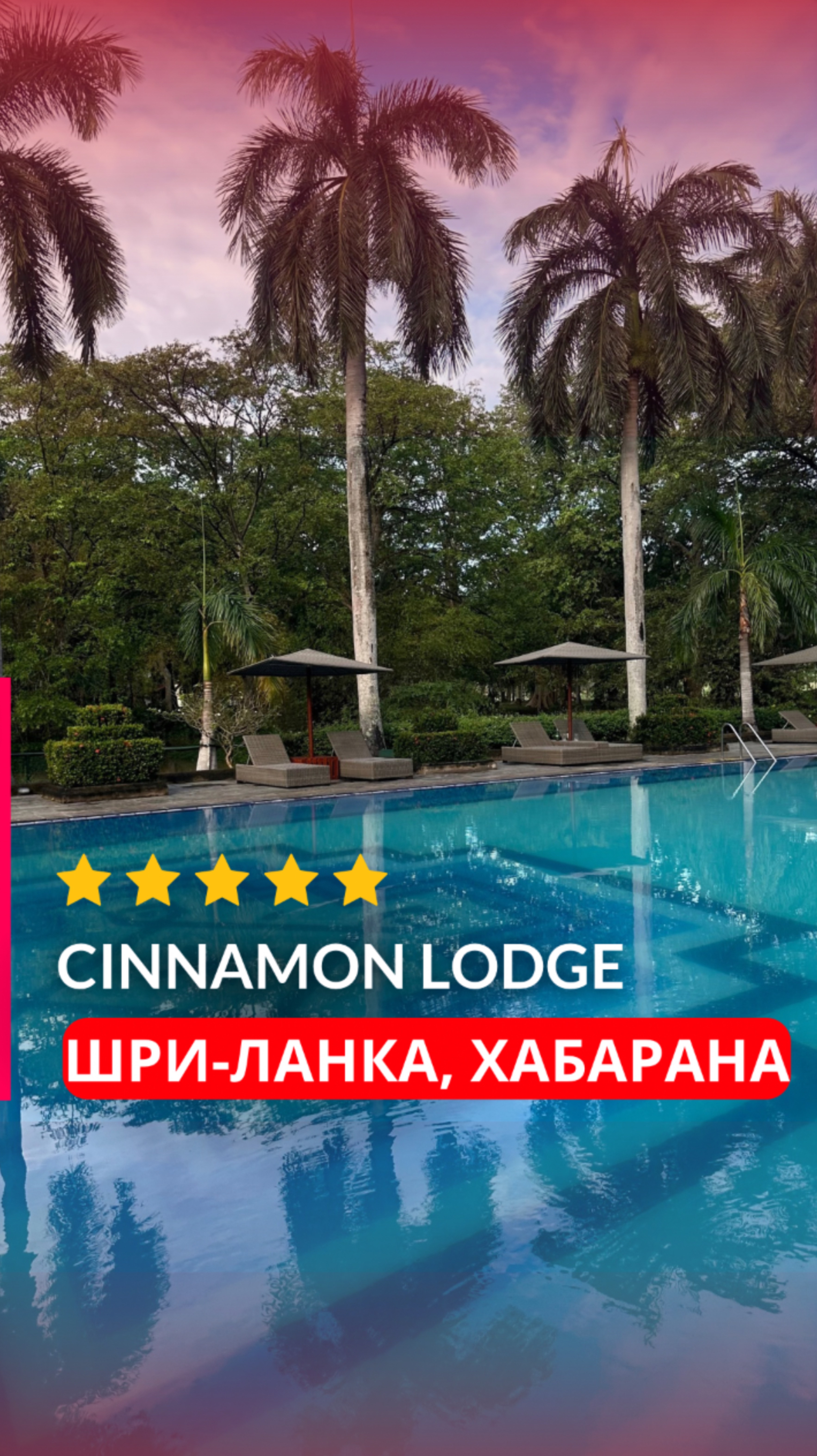 Отель CINNAMON LODGE, Шри-Ланка, Хабарана. Обзор отеля