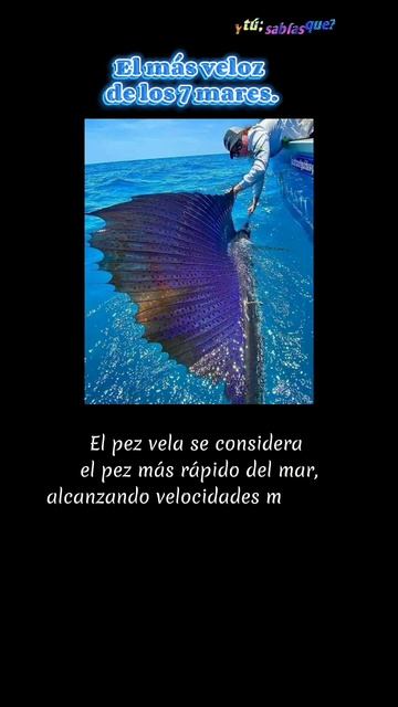 El pez más veloz. #ciencia #datos #velocidad #oceano #mar