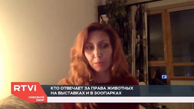Директор Фонда защиты городских животных зоопарках телеканалу RTVI. 18.02.2020