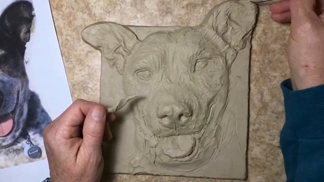 How to sculpt a Australian Cattle Dog in clay | Sondra Alexanderart.net