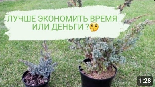 ЛУЧШЕ ЭКОНОМИТЬ ВРЕМЯ ИЛИ ДЕНЬГИ? 🤔