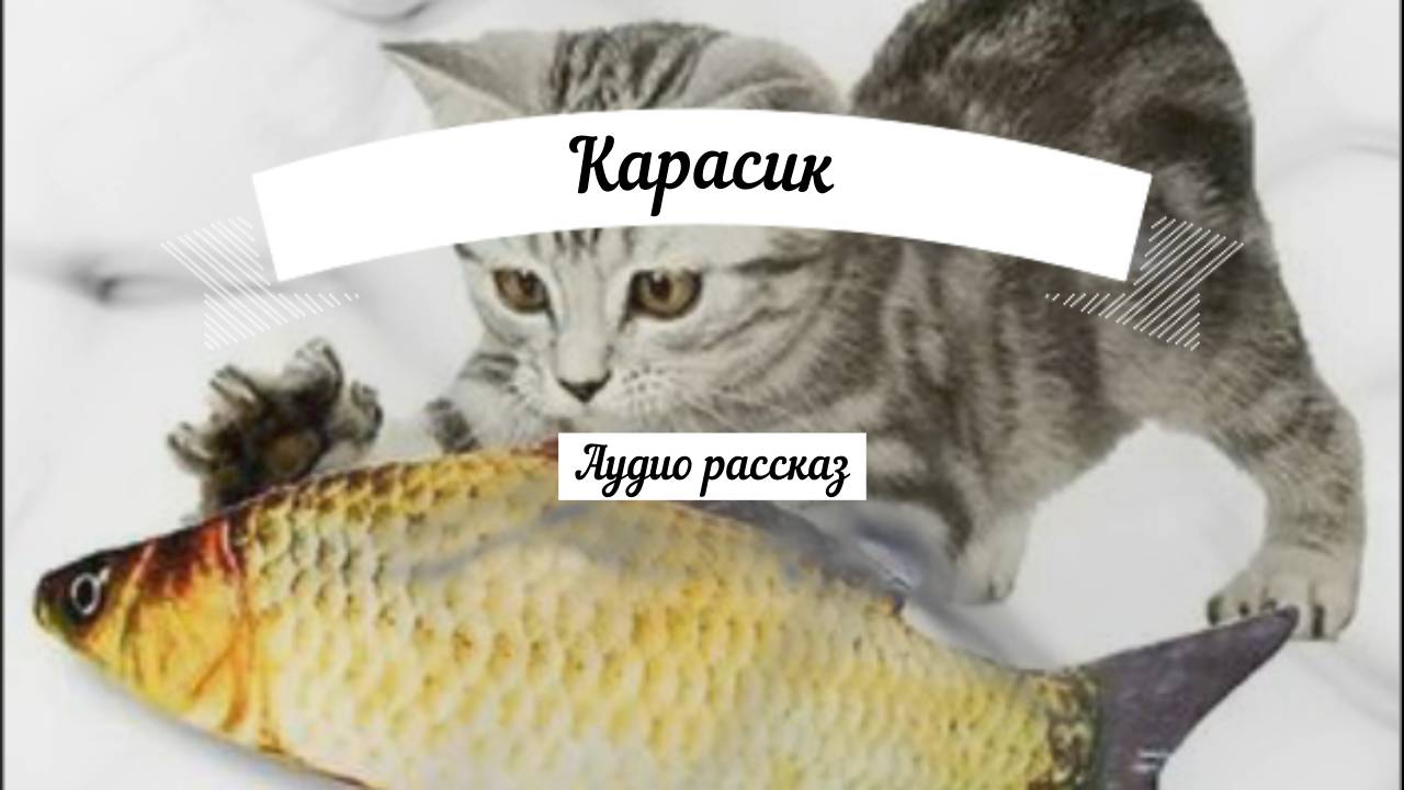 Носов Н.Н.  Карасик