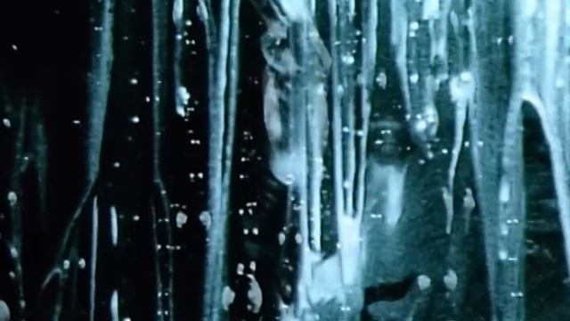 Robert Plant - 'Ship of Fools' - Official Music Video [HD REMASTERED]