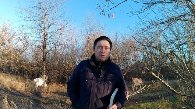 Когда Бог предупреждает